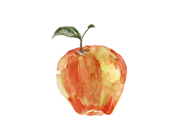リンゴのイラスト