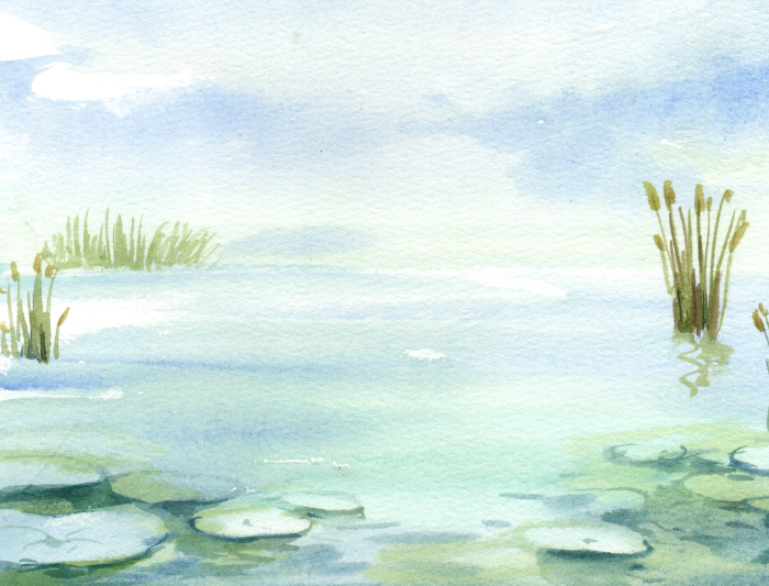 水辺のイメージイラスト