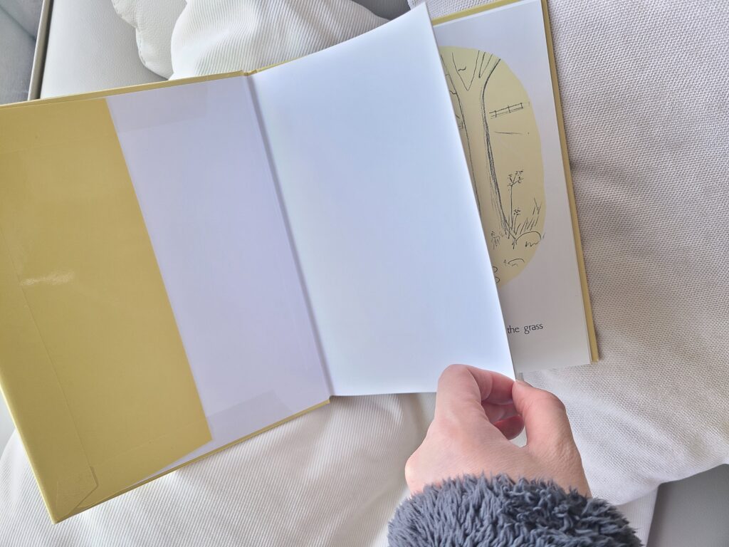 本のページを開いている写真