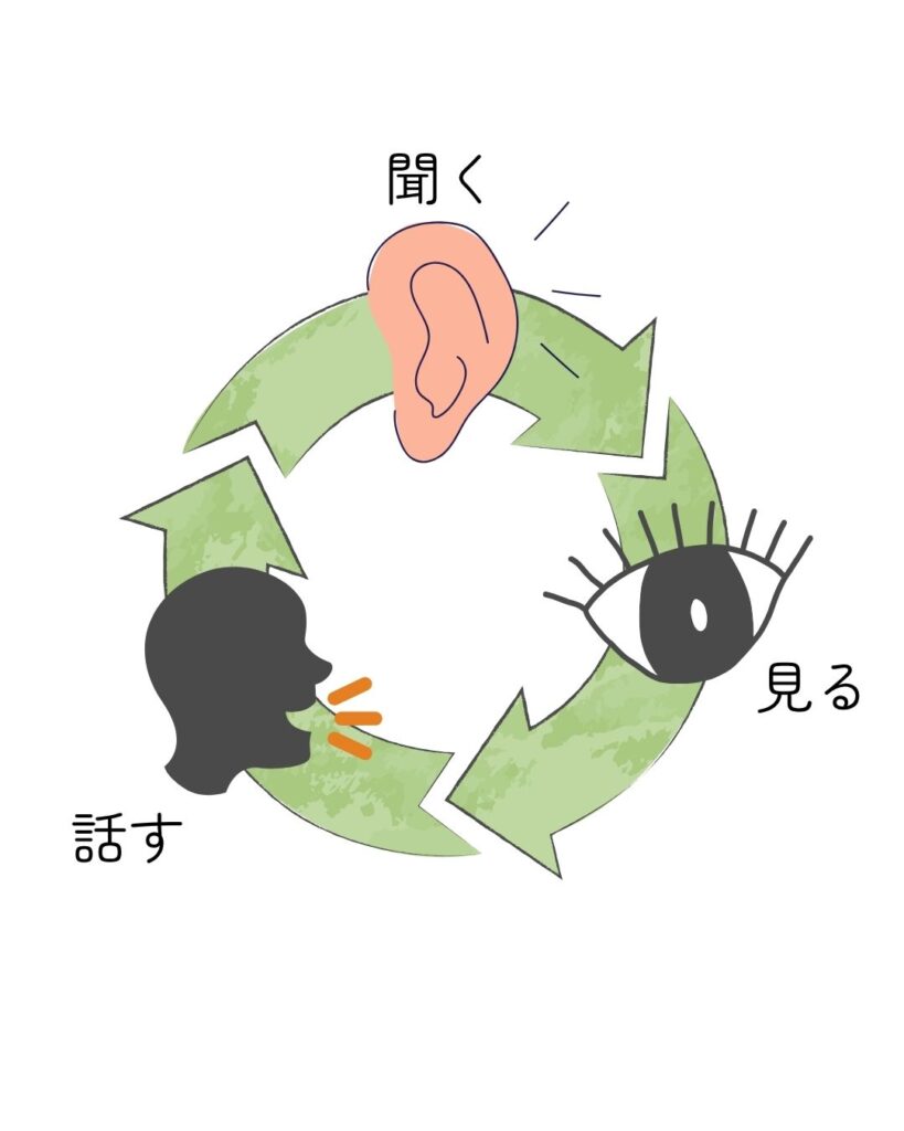 耳のイラスト「耳で聞く」+目のイラスト「目でみる」+話しているイラスト「口で話す」。がサイクル化しているイラスト